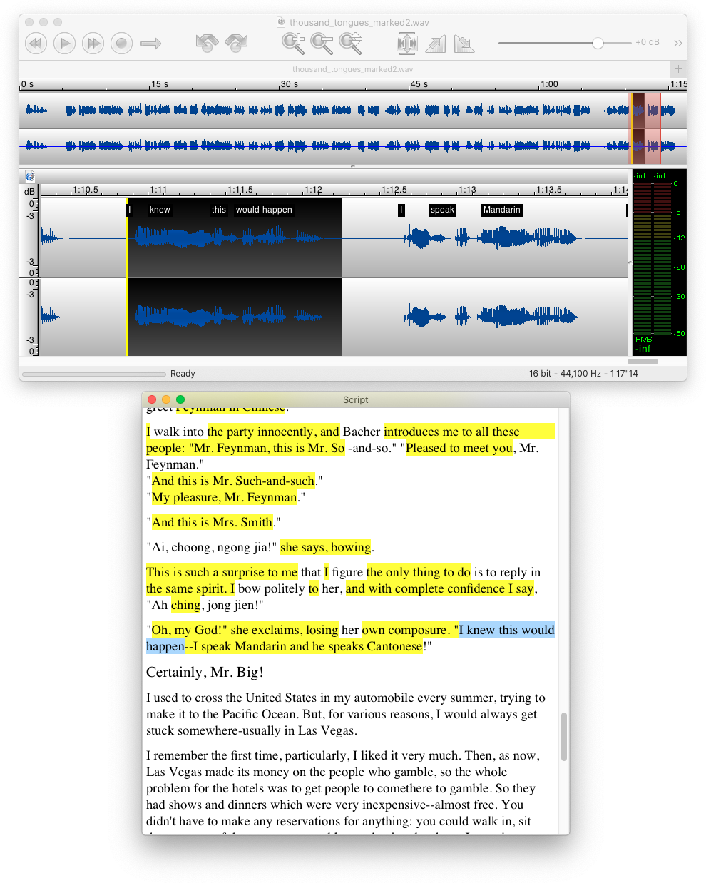 Text Script window synchronized with the waveform